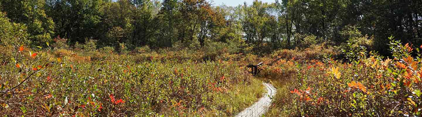 Nature preserve in Wayne County, OH